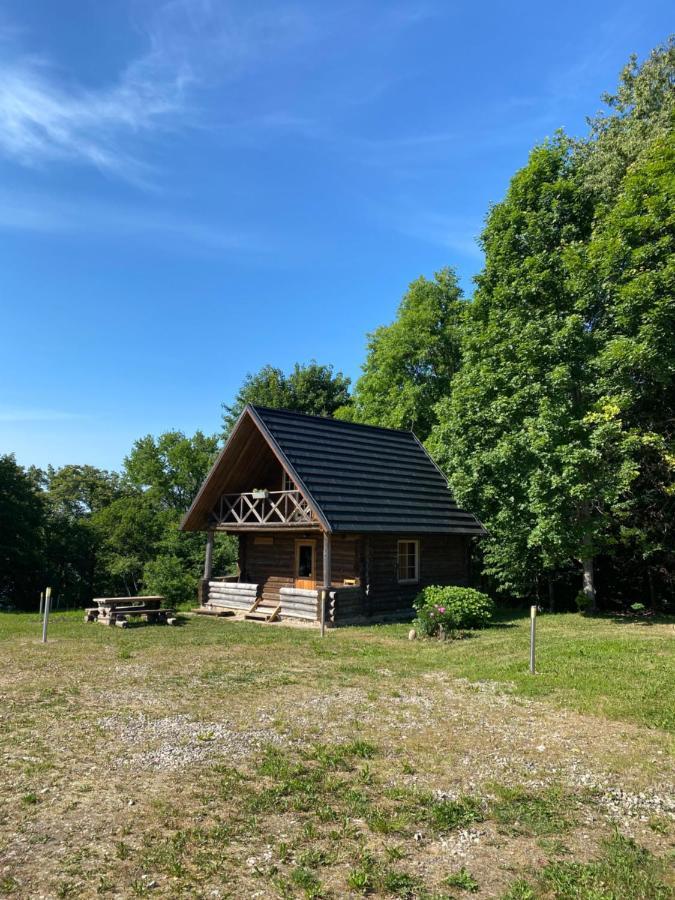Holiday home Atputas Komplekss Dridzi Kraslava