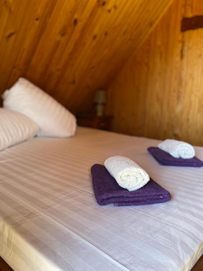 Holiday home Atputas Komplekss Dridzi