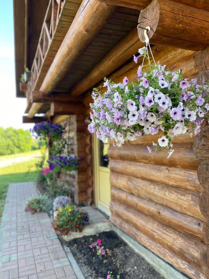 Atputas Komplekss Dridzi Holiday home Kraslava
